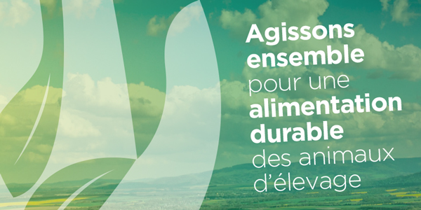 Rapport d'activité 2025