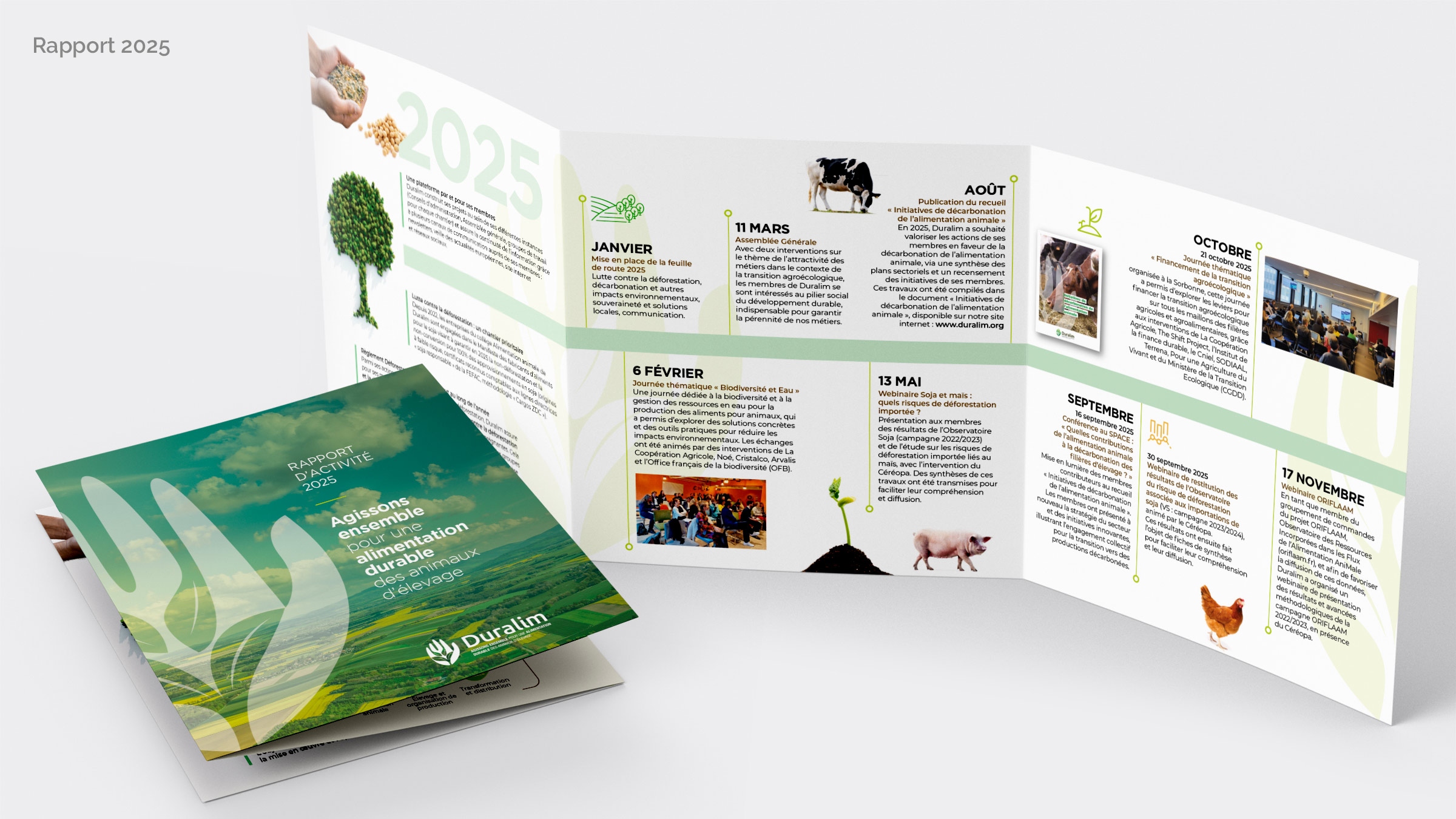 Rapport d'activité 2025
